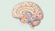 Updated Appropriate Use Criteria for Amyloid and Tau PET: A Report from the Alzheimer’s Association and Society for Nuclear Medicine and Molecular Imaging Workgroup