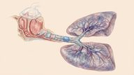 Clinical Policy: Critical Issues in the Management of Adult Patients Requiring Endotracheal Intubation in the Emergency Department