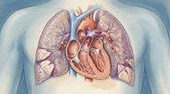 2026 AHA/ACC/ACCP/ACEP/CHEST/SCAI/SHM/SIR/SVM/SVN Guideline for the Evaluation and Management of Acute Pulmonary Embolism in Adults: A Report of the American College of Cardiology/American Heart Association Joint Committee on Clinical Practice Guidelines