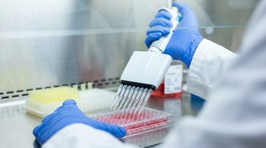 CHK1 Inhibition Sensitizes Experimental Glioma to CDK4/6 Blockade