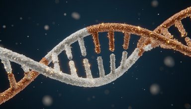 Cross-Ancestry Analysis Identifies Shared Genetic Risk for Major Psychiatric Disorders