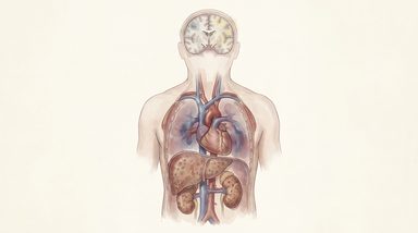 ERC and ESICM launch 2025 guideline for Post-Resuscitation Care
