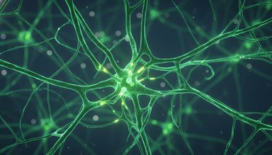 Hippocampus-Thalamus Circuit Drives Contextual Hyperactivity in PTSD Mouse Model