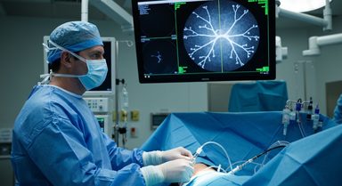 Mini-Cuffs Reduce Target Vessel Instability in Complex Aortic Repair