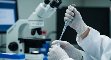 Reduced ULK1 Links Impaired Cellular Clearance to Alzheimer's Pathology